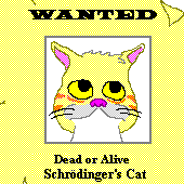 Schroedinger Cat